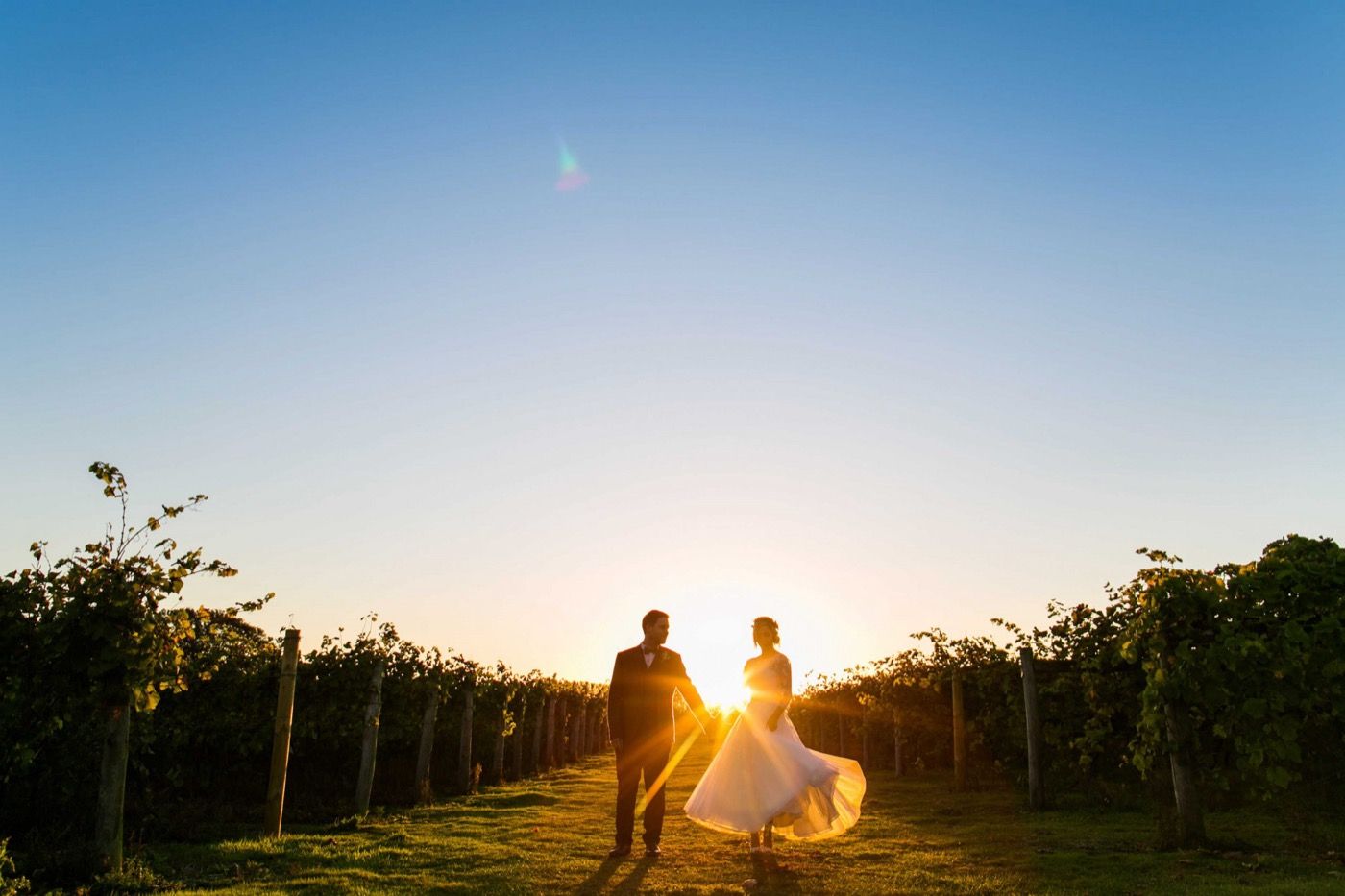 Highdown Vineyard